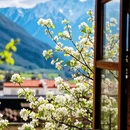 阿坝旅游 缩略图 8