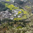 黄山旅游 缩略图 7
