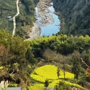 黄山旅游 缩略图 6