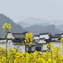 黄山旅游 缩略图 17