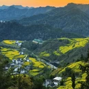黄山旅游 缩略图 7