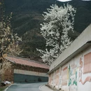 阿坝旅游 缩略图 6