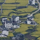 黄山旅游 缩略图 12