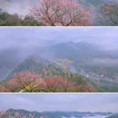 黄山旅游 缩略图 13