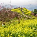 黄山旅游 缩略图 4