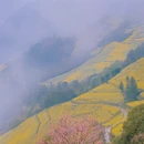 黄山旅游 缩略图 12
