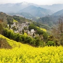 黄山旅游 缩略图 6