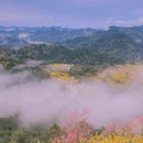 黄山旅游 缩略图 15