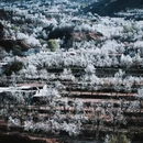 阿坝旅游 缩略图 4