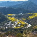 黄山旅游 缩略图 4