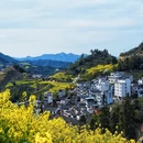 黄山旅游 缩略图 3