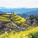 黄山旅游 缩略图 5