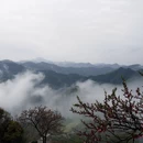 黄山旅游 缩略图 4