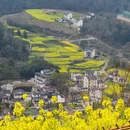 黄山旅游 缩略图 8