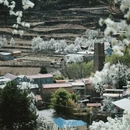 阿坝旅游 缩略图 5