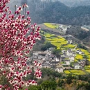 黄山旅游 缩略图 12