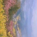 黄山旅游 缩略图 1
