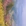 黄山