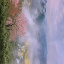 黄山旅游 缩略图 6