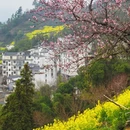 黄山旅游 缩略图 15