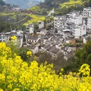 黄山旅游 缩略图 16