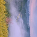 黄山旅游 缩略图 2