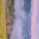 黄山旅游 缩略图 3