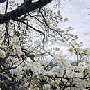 阿坝旅游 缩略图 17