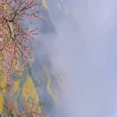 黄山旅游 缩略图 13
