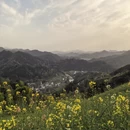 黄山旅游 缩略图 7