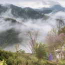 黄山旅游 缩略图 7