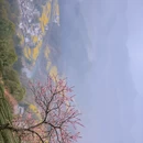 黄山旅游 缩略图 12