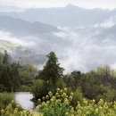 黄山旅游 缩略图 6