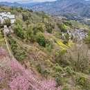 黄山旅游 缩略图 6