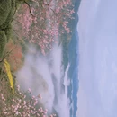 黄山旅游 缩略图 14