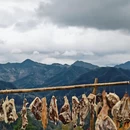 黄山旅游 缩略图 8