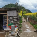 黄山旅游 缩略图 9