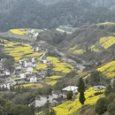 黄山旅游 缩略图 1