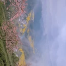 黄山旅游 缩略图 5