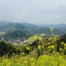 黄山旅游 缩略图 2