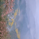 黄山旅游 缩略图 8