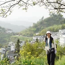 黄山旅游 缩略图 5