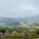 黄山旅游 缩略图 3