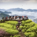 黄山旅游 缩略图 3