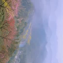 黄山旅游 缩略图 9