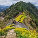 黄山旅游 缩略图 4
