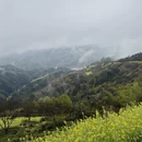 黄山旅游 缩略图 4