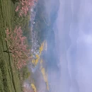 黄山旅游 缩略图 10