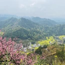 黄山旅游 缩略图 6