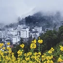 黄山旅游 缩略图 5